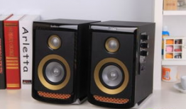 国产精品书架音箱,音质卓越，品味生活新境界