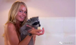 俄罗斯黄色视频,背后真相与影响